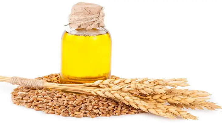 7 فوائد زيت جنين القمح للبشرة والجسم والصدر