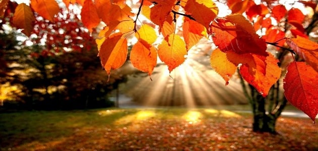 موضوع تعبير عن فصل الخريف بالعناصر والمقدمة والخاتمة