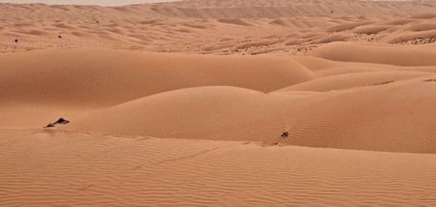 أهمية تعمير الصحراء