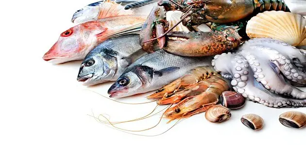 6 فوائد مختلفة عند اكل سمك الانوم للرجال