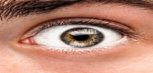 علاج جحوظ العين الوراثية طبيعيًا