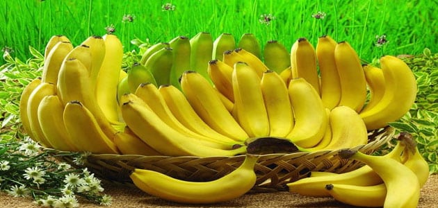 الموز في المنام