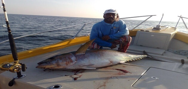 صيد الأسماك في سلطنة عمان