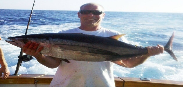 صيد سمك التونة في مصر