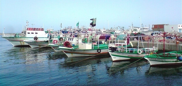 طرق صيد السمك في البحرين