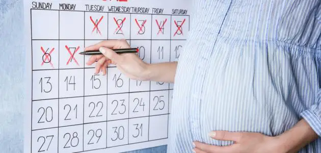 كيفيه حساب أسابيع الحمل الخاصة بالتلقيح المجهري