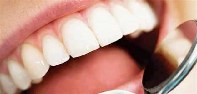 ما أهمية الأسنان وكيفية المحافظة عليها