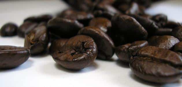 ما اصل كلمة القهوة