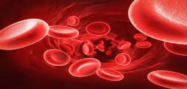 ما معنى تحليل الدم rbc