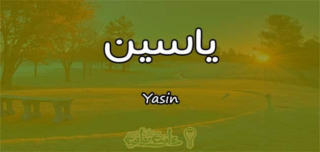 معنى اسم ياسين