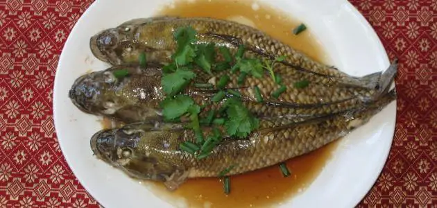 أسماك الباسا الفيتنامية