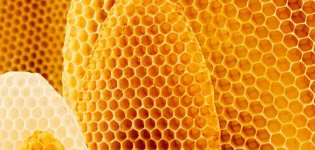 ما هي فوائد شمع النحل