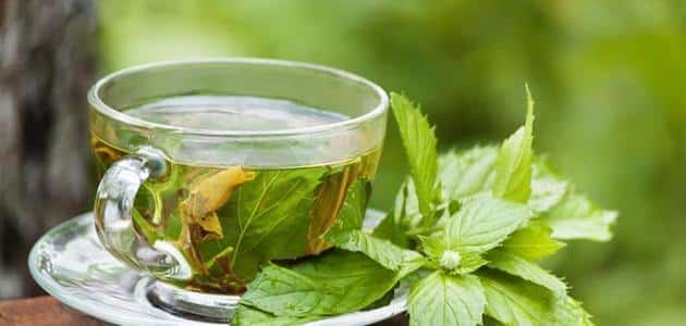 فوائد الشاي الأخضر لمرضى السكري