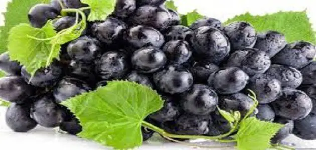 ما هي فوائد العنب الأسود ؟