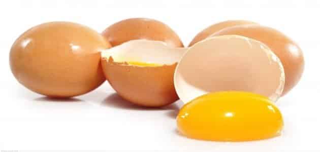 ما هي فوائد صفار البيض ؟