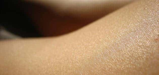 أهمية الجلد في جسم الإنسان