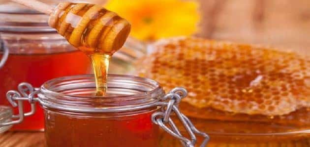 فوائد ومضار عسل الكينا