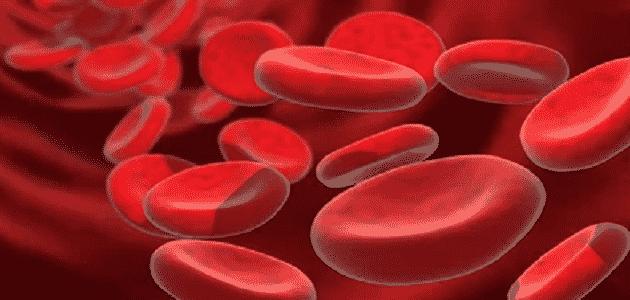 ما هي أسباب فقر الدم بالتفصيل