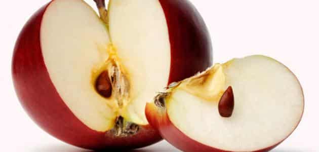 ما هي فائدة بذور التفاح