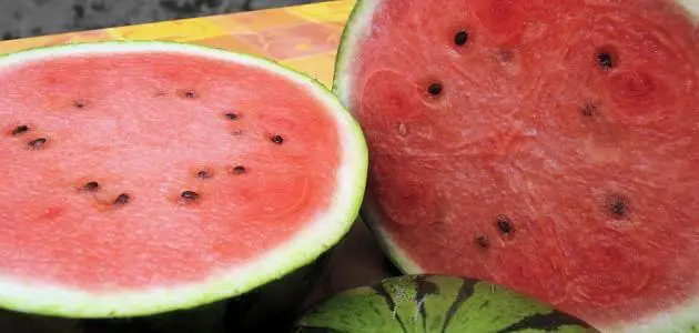 ما هي فوائد بذور البطيخ المحمص