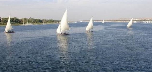 معلومات عن نهر النيل لا تعرفها 