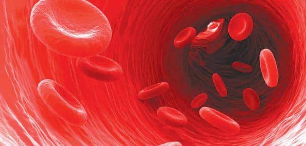 متى يكون فقر الدم خطير وطرق علاجه ؟