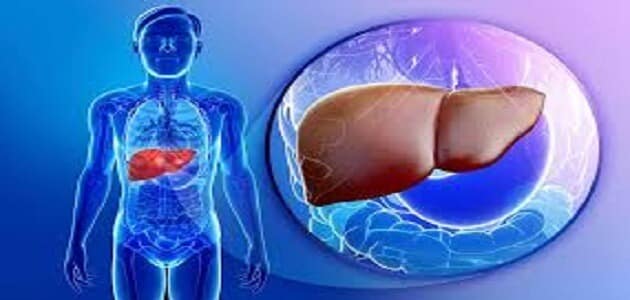 ما هي امراض الكبد في جسم الانسان