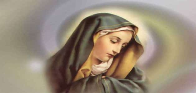 بحث عن السيدة مريم العذراء
