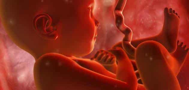 ماذا يسمى غشاء الجنين عند الولادة ؟