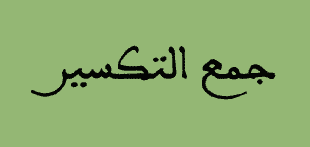 بحث عن جمع التكسير في اللغة العربية