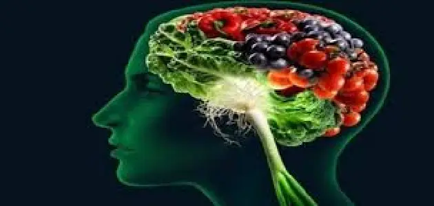 ما هو الغذاء المفيد والصحي للدماغ