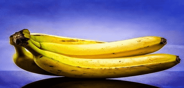 فوائد الموز وأضراره كاملة