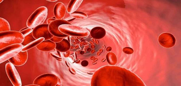 كيف يؤثر كل من الانيميا واللوكيميا في الدم