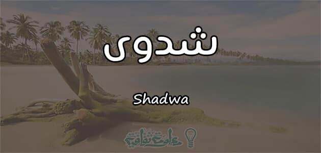 معنى اسم شدوي Shadwa وصفات حاملة الاسم