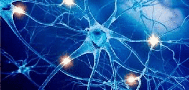 ما هي الامراض التي تصيب الجهاز العصبي