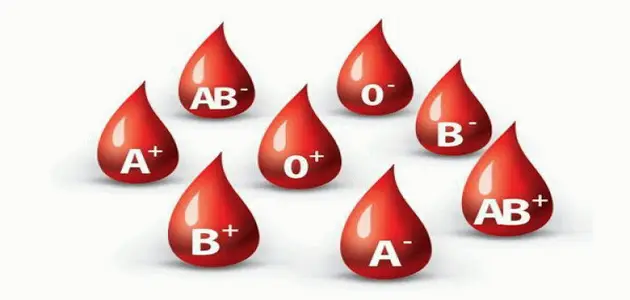 كيف تتم عملية نقل الدم بين الفصائل