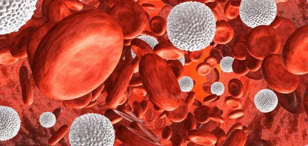 تعريف خلايا الدم الحمراء والبيضاء