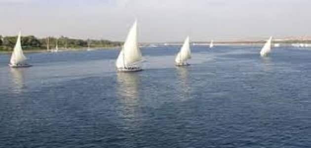 دور الطالب فى حماية نهر النيل من التلوث
