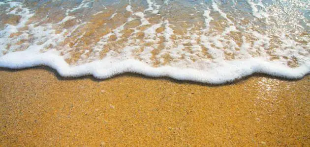 فوائد واضرار ماء البحر للحساسية