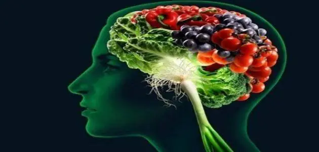 ما هو غذاء المخ والأعصاب