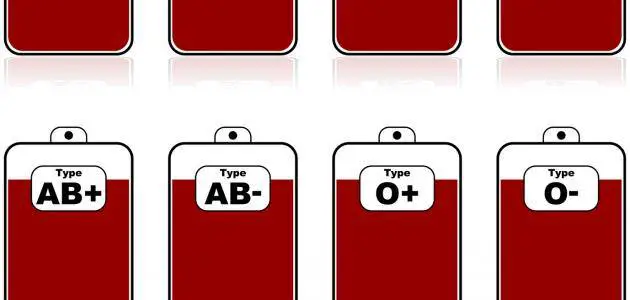 معلومات عن فصيلة الدم O+