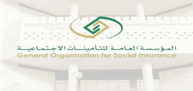 موقع التأمينات الاجتماعية مصر القطاع الخاص والعام