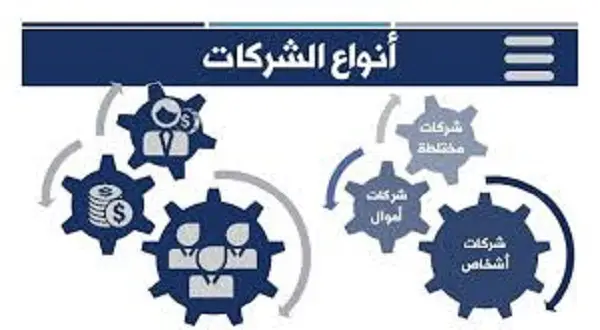 انواع الشركات التجارية فى مصر