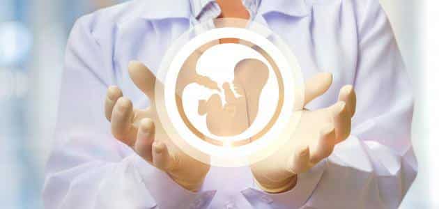 علاج ارتفاع هرمون الحمل بعد الإجهاض