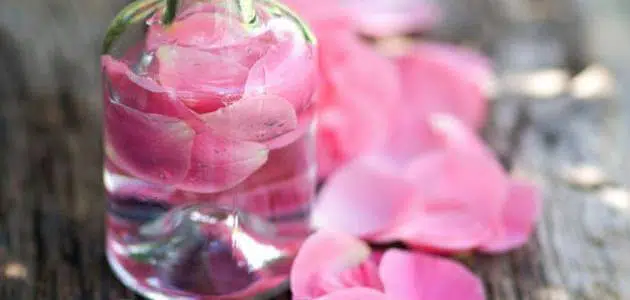 هل شرب ماء الورد يزيد الوزن؟