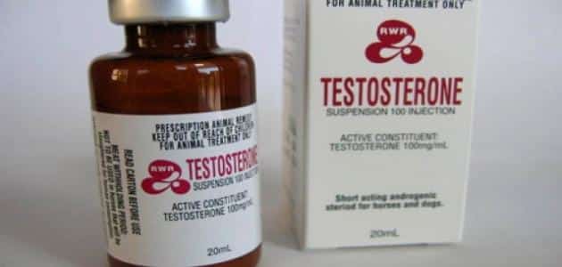 ما هو هرمون التستوستيرون عند الرجال