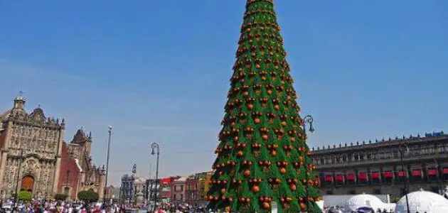 معلومات عن أكبر شجرة عيد ميلاد في العالم
