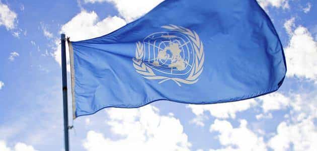 مما تتكون هيئة الأمم المتحدة