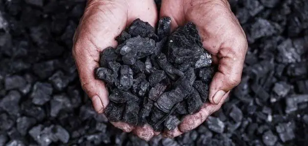 مُكونات الفحم وأنواعه