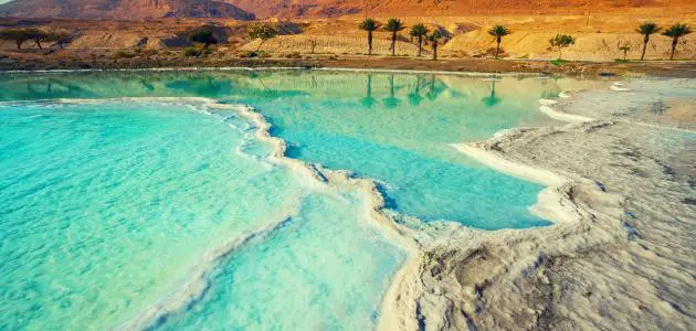 يعتبر البحر الميت من أشهر البحار التي لا تحتوي على كائنات حية، كما أنه يعتبر واجهة سياحية للترفيه وللعلاج بالماء والطين الموجدان فيه,